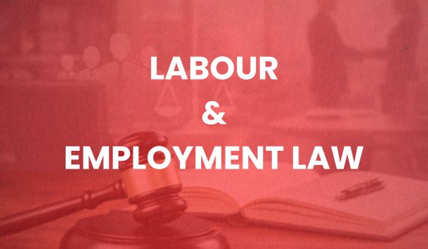 Digital Forensic Examination 